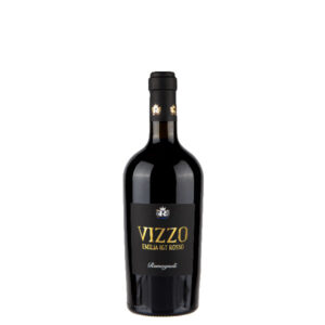 Il Vizzo