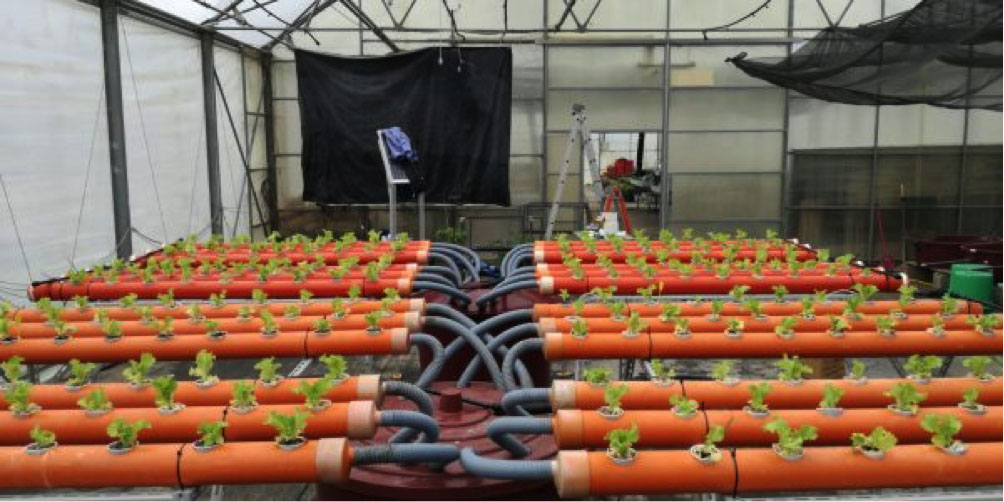 aid4mada progetto effetto serra