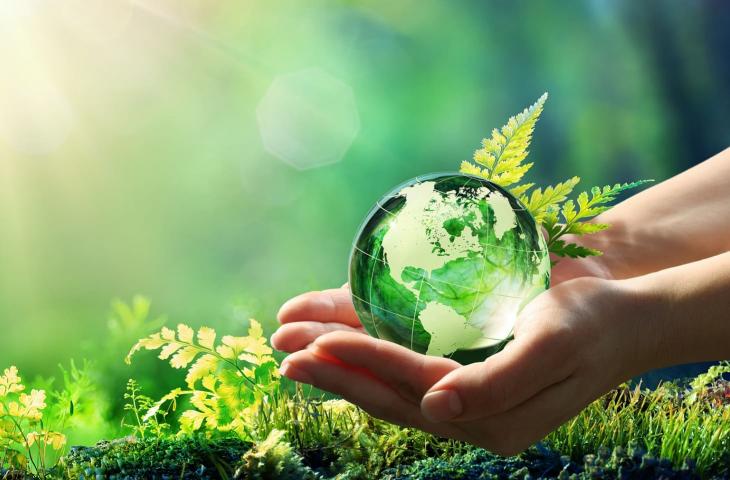 crediti di carbonio carbon neutrality