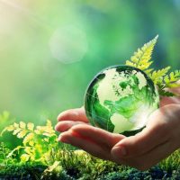 crediti-di-carbonio-carbon-neutrality-1